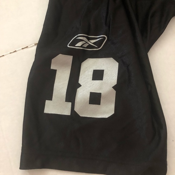 Randy Moss Raiders Jersey. Reebok NFL equipment XL - Picture 9 of 10